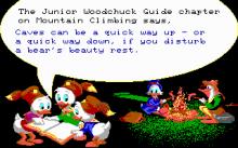 Duck Tales: The Quest for Gold screenshot #16