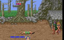 Golden Axe screenshot #13