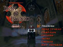 Iron & Blood - Warriors of Ravenloft screenshot #4