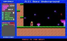 Jill 2: Jill Goes Underground screenshot #2