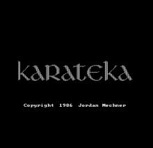 Karateka screenshot #10