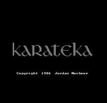 Karateka screenshot #10