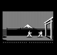 Karateka screenshot #11