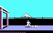 Karateka screenshot #4