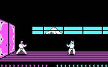 Karateka screenshot #5