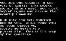 Karateka screenshot #8