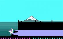 Karateka screenshot #9