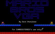 Mario VGA screenshot #2