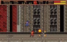 Ninja Gaiden 2: Dark Sword of Chaos screenshot #13