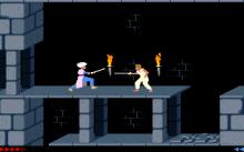 Prince of Persia screenshot #11