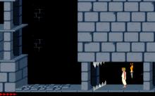 Prince of Persia screenshot #12