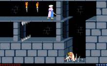 Prince of Persia screenshot #4