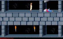 Prince of Persia screenshot #6