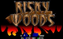 Risky Woods screenshot #10