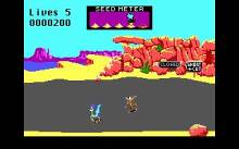 Road Runner screenshot #1