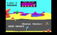 Road Runner screenshot #3