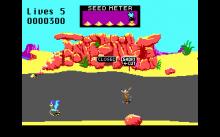 Road Runner screenshot #4