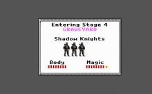 Shadow Knights screenshot #13