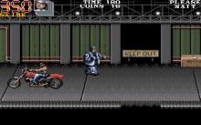 Double Dragon 3 screenshot #10