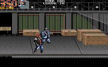 Double Dragon 3 screenshot #11