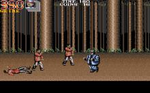 Double Dragon 3 screenshot #12