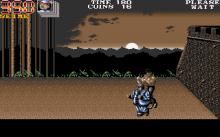 Double Dragon 3 screenshot #13