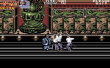 Double Dragon 3 screenshot #15