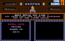 Double Dragon 3 screenshot #8