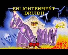 Druid 2: Enlightment screenshot