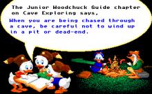 Duck Tales screenshot #16