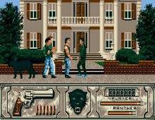 Wild Streets screenshot