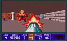 Wolfenstein 3D screenshot #12