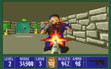 Wolfenstein 3D screenshot #5