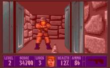 Wolfenstein 3D screenshot #6