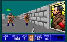 Wolfenstein 3D screenshot #8