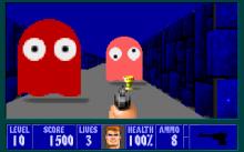 Wolfenstein 3D screenshot #9