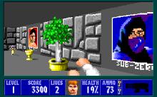 Wolfenstein 3D: Mortal Kombat Edition screenshot #9