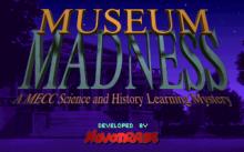 Museum Madness screenshot #4