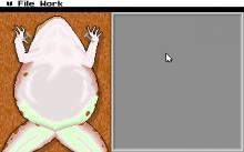 Operation Frog screenshot #8