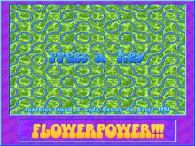 FlowerPower screenshot #2