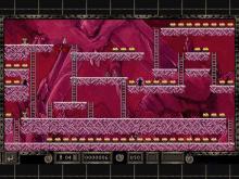 Lode Runner Online: The Mad Monks' Revenge screenshot #5