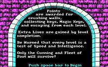 Wizard's Doom screenshot #4