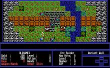 Dungeon Explorer screenshot #2
