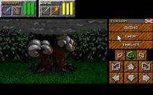 Dungeon Master 2: The Legend of the Skullkeep screenshot #2