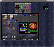 Dungeon Master Java screenshot #9