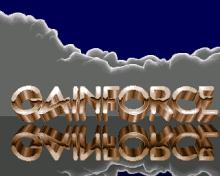 Gainforce screenshot #2