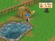 Harvest Moon: Back To Nature screenshot #11