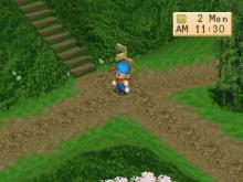 Harvest Moon: Back To Nature screenshot #13