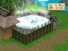 Harvest Moon: Back To Nature screenshot #14