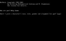 NetHack screenshot #5